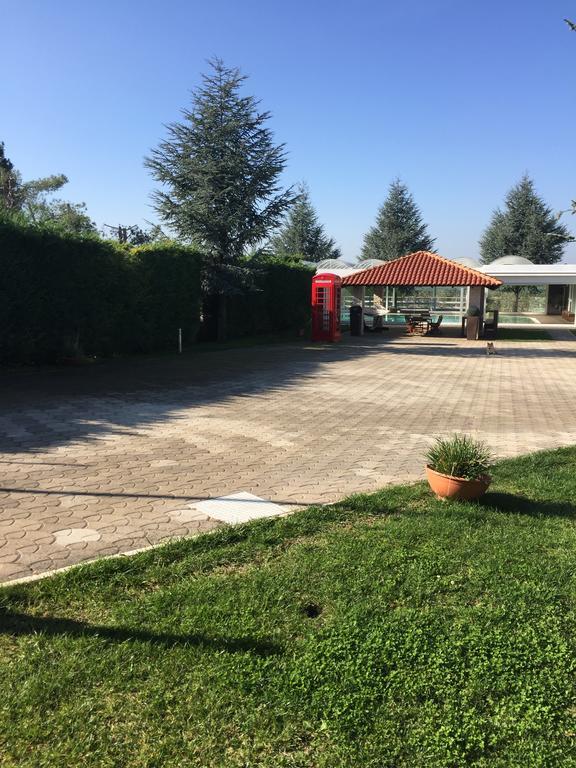 Il Falco 2*